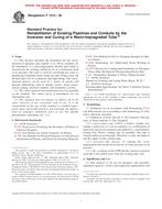 ASTM F1216-05