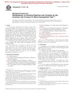 ASTM F1216-06