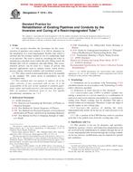 ASTM F1216-07a