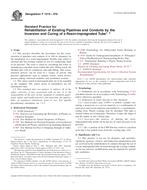 ASTM F1216-07b