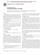 ASTM E1881-97(2002)