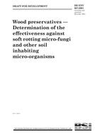 BS DD ENV 807:2001 BS DD ENV 807:2001