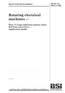BS DD IEC TS 60034-17:2002 BS DD IEC TS 60034-17:2002