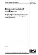 BS DD IEC TS 60034-26:2002 BS DD IEC TS 60034-26:2002