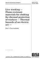 BS DD CLC/TS 61482-1:2003 BS DD CLC/TS 61482-1:2003