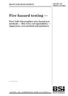 BS DD IEC TS 60695-2-20:2004 BS DD IEC TS 60695-2-20:2004