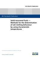 BS PD CEN/TR 15404:2010
