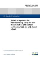 BS PD CEN/TR 16324:2012