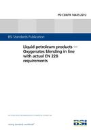 BS PD CEN/TR 16435:2012