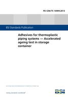 BS PD CEN/TS 14999:2013