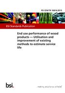 BS PD CEN/TR 16816:2015