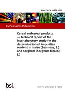 BS PD CEN/TR 16875:2015