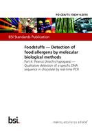 BS PD CEN/TS 15634-4:2016 BS PD CEN/TS 15634-4:2016