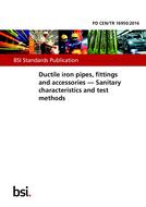 BS PD CEN/TR 16950:2016