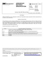 SAE AMSQQA250/6B SAE AMSQQA250/6B