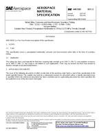 SAE AMS5583E