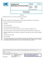 SAE AMS2489A