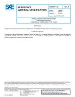 SAE AMS3904/10B